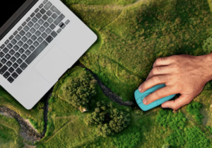 carbon neutrality
