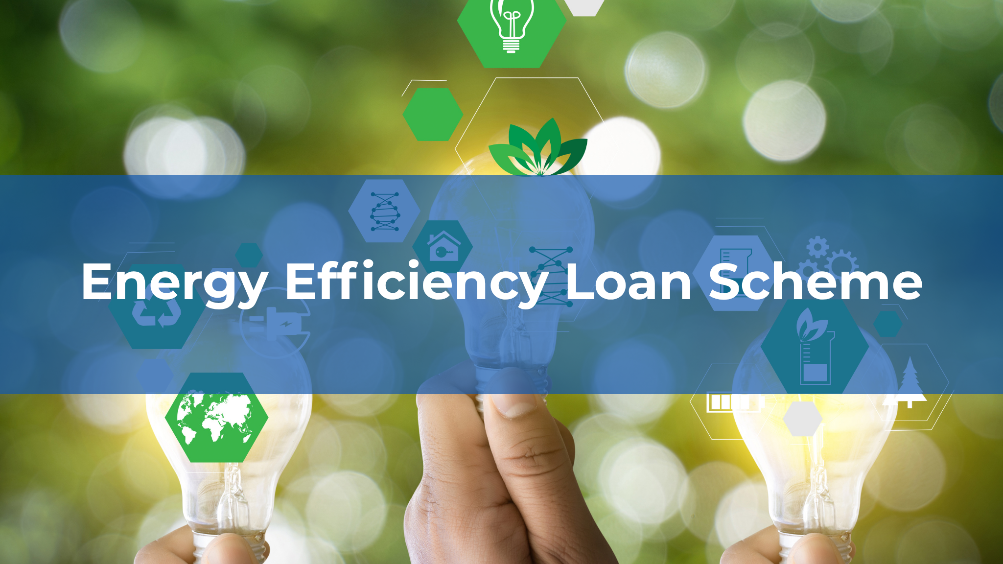 Picture of lightbulbs with text overlay saying Energy Efficiency Loan Scheme